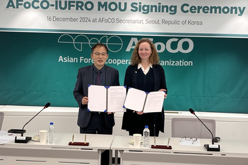 (From left) Chongho Park, Executive Director of AFoCO, and Daniela Kleinschmit, President of IUFRO, signing the MoU