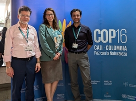 Reflecting on the Human-Environment Relationship: Highlights from IUFRO's participation at CBD COP16 in Cali, Colombia