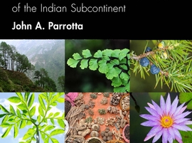 Healing Plants of South Asia