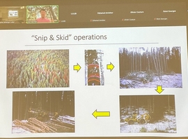 Forest Operations: A Tool for Forest Management