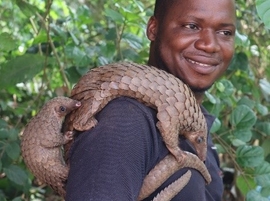 Towards Effective Pangolin Conservation in Benin